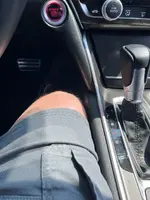 accord knee.webp