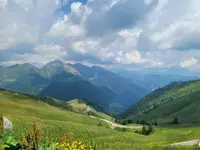 20250619_151620.webp