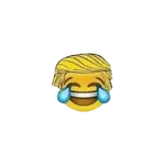 1751763117276.webp