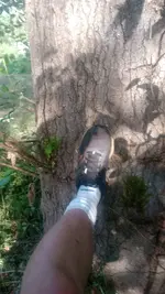 1000020660.webp
