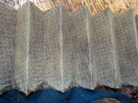 DSCN9073.webp