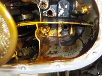 DSCN9044.webp