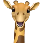 1752090990800.webp