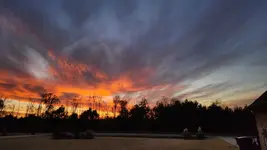 2022-12-01 16.49.23.webp