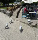 IMG_0772.webp