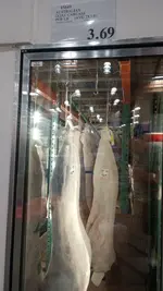 1000020681.webp