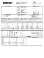 Ram_oil_analysis.webp