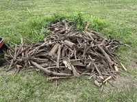 IMG_5688.webp