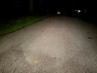 IMG_2289.webp