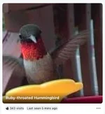 1753715191885.webp