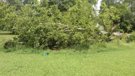 IMG_20250808_111330958.webp