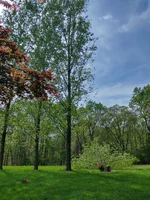 IMG_20260406_152716681_HDR.webp