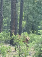 xjemez9.webp