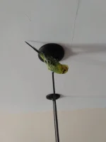 IMG_20201213_093221_01.webp
