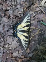 20200817_190416.webp