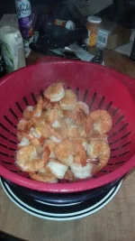 SHRIMP.webp