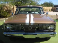 barracuda.webp