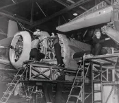 Grumman TBF 1941.webp