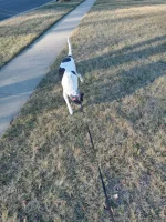 20210203_162648_HDR.webp