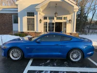 Feb 27 Mustang side.webp