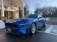 Feb 27 Mustang front corner.webp