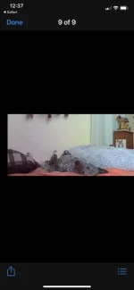 D76C4859-2A7C-4215-9671-E9FE8C69F30F.webp
