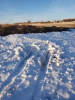 20210325_190134.webp