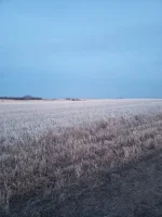 20210401_200833.webp