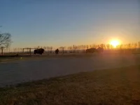 20210416_195849.webp