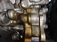 Oil3.webp