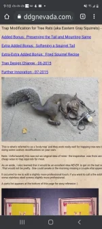 Screenshot_20210430-211033_Chrome.webp