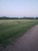 20210612_215606.webp