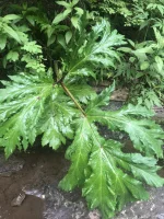 44B42017-6063-4CCB-83C1-38C167684E55.webp