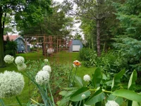 IMG_20210626_115809805_HDR[1].webp