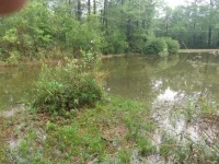 IMG_20210410_104025466.webp