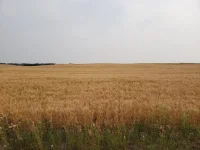 20210806_165037.webp