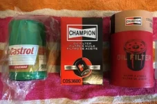 Champion3.webp