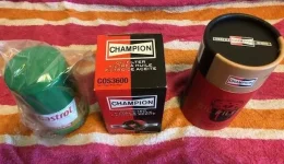 champion4.webp
