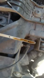 Oil.webp