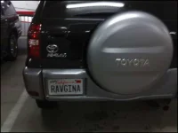 Ravgina.webp