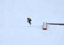 227020_10150588812905641_5361439_n.webp