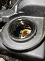 oil2.webp