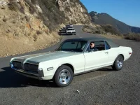 Cougar_Mt.Diablo.webp