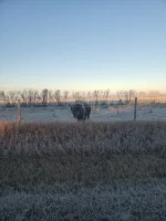 20211101_085150.webp