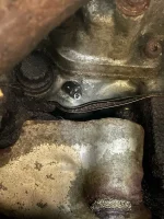 DAF5FB05-D5CC-4236-96FA-C1BAB098C58C.webp