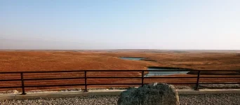 20211109_160943.webp