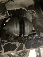 0CF815A8-F57A-4387-8FE2-97F883FB2CC2.webp