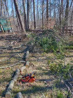 IMG_20220205_111328512_HDR.webp