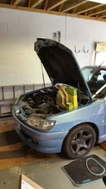 pug oil change.webp