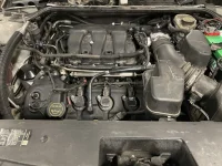 FD9E818C-2A65-49F1-BCAA-334C8A74FF25.webp